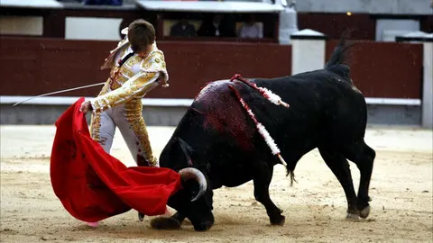 Mario Alcalde da un pase de pecho al último novillo de Sánchez Fabrés lidiado en Las Ventas