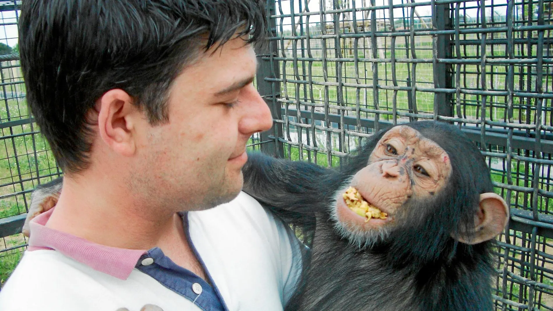 Pablo Herreros: «Los animales sienten amor, desamor, celos, rencor, envidia...»