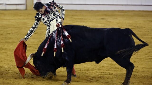 El matador Jiménez Fortes durante la lidia de su primer toro, en la corrida Picassiana celebrada esta tarde en la plaza de "La Malagueta"