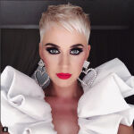Katy Perry deja temporalmente los escenarios