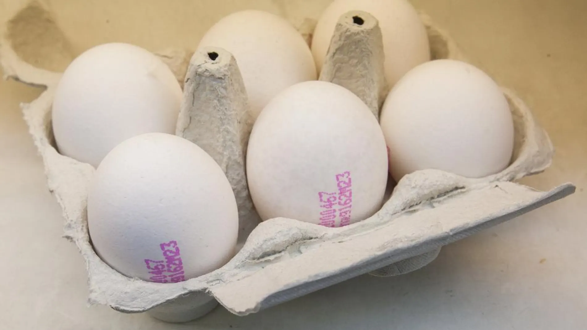 España sigue sin estar afectada por la distribución de huevos contaminados