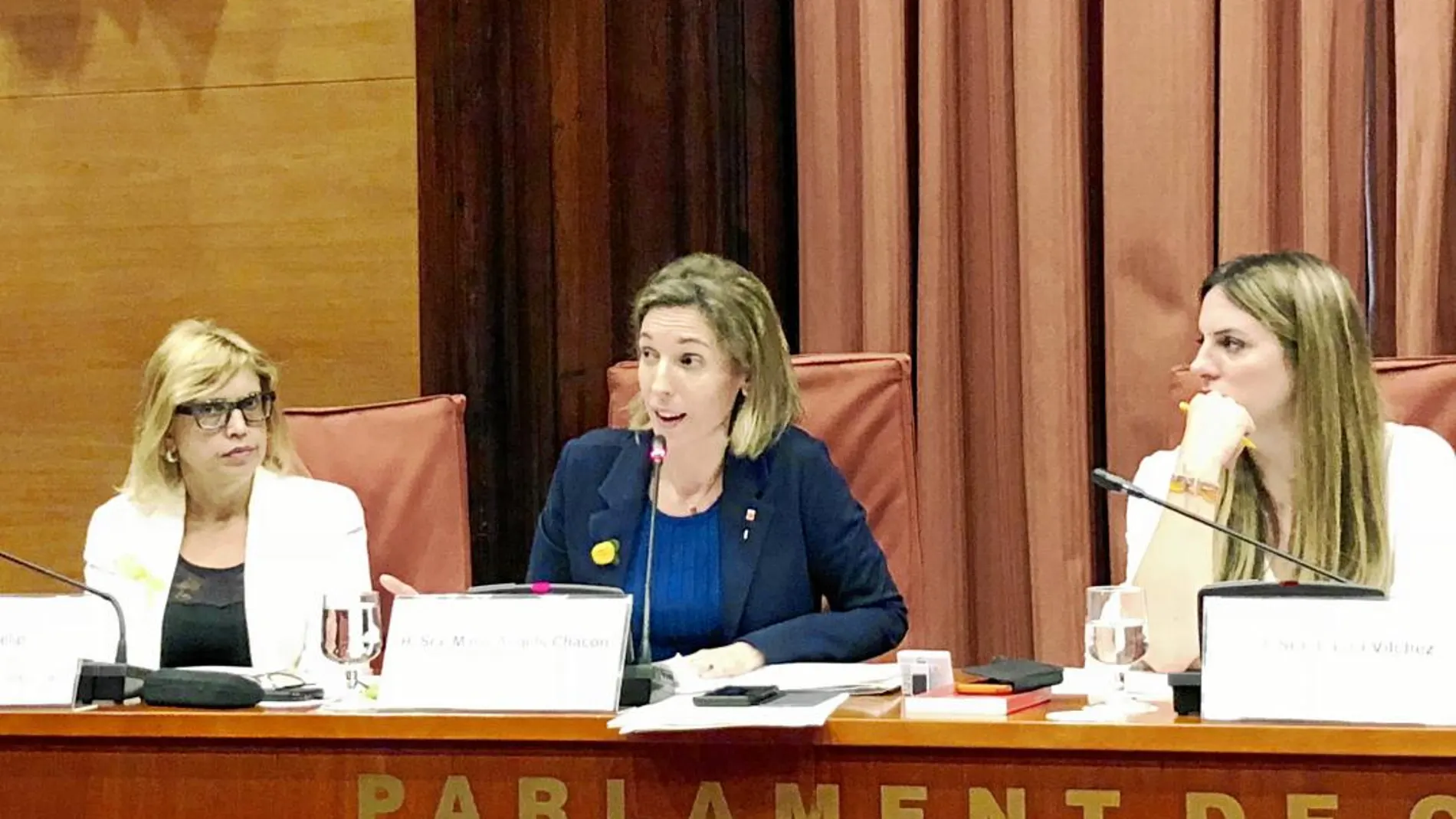 La consellera de Economía, Àngels Chacón, en su primera comparecencia parlamentaria desde que llegó al cargo