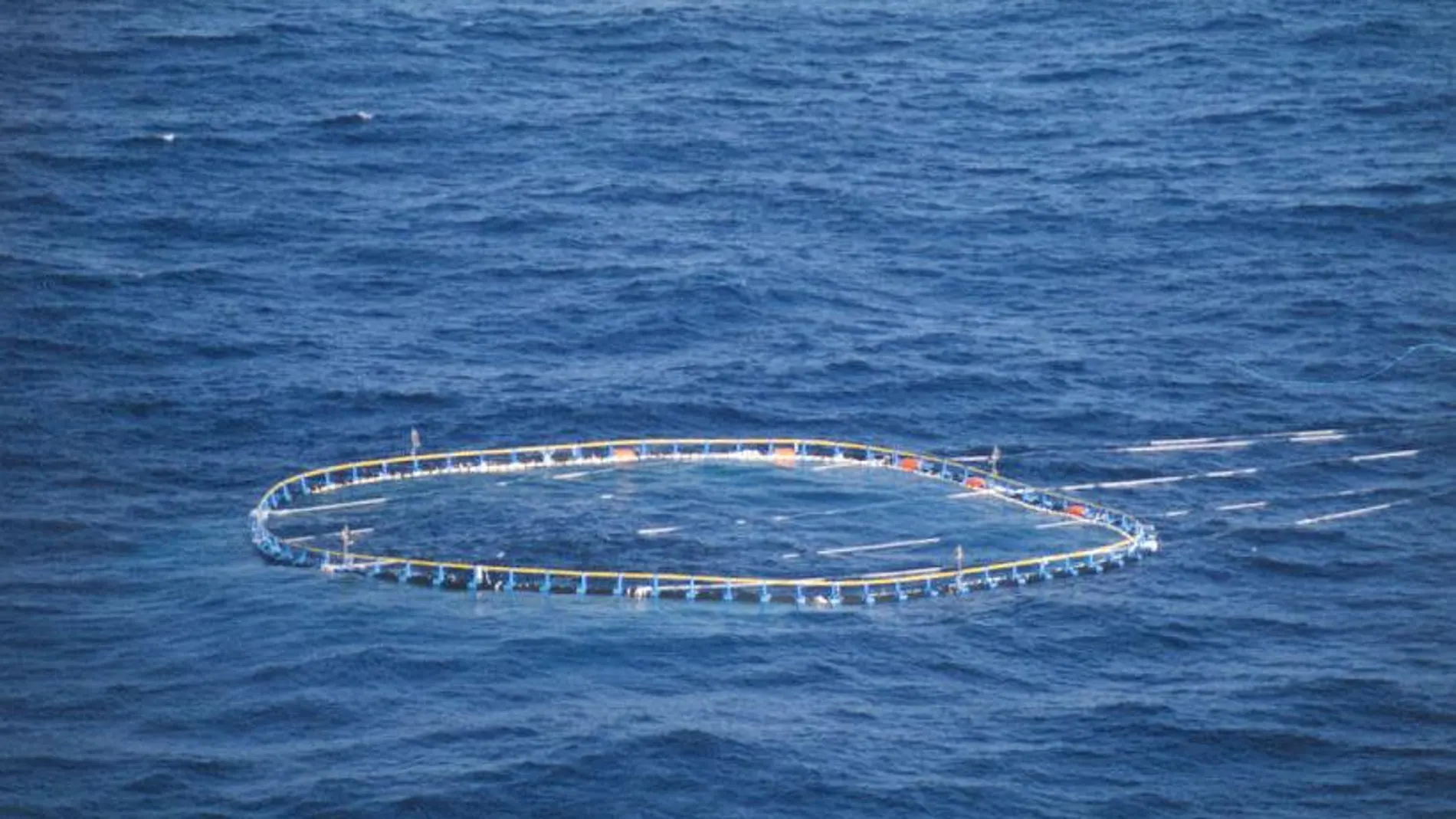 Pesca de atún en el Mediterráneo, en una imagen de archivo/Efe