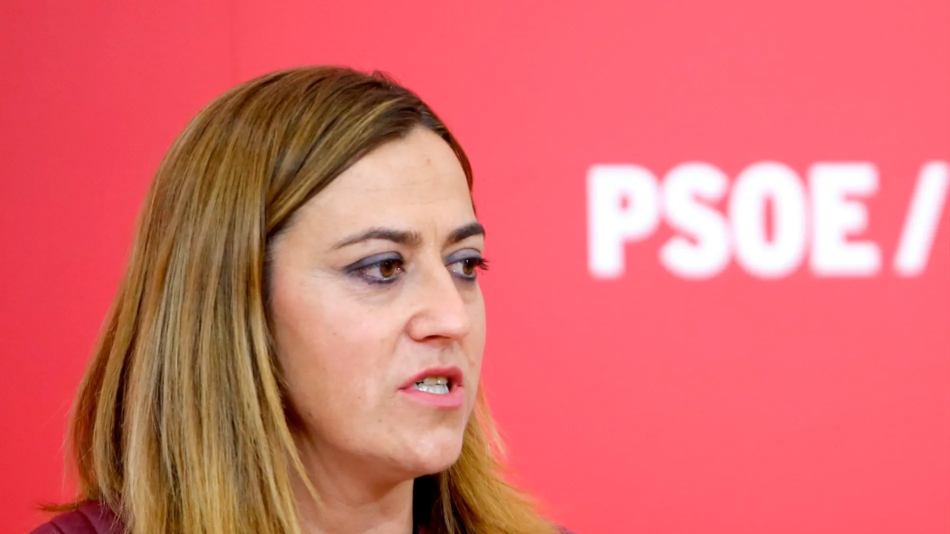 Virginia Barcones, vicesecretaria regional del PSOE