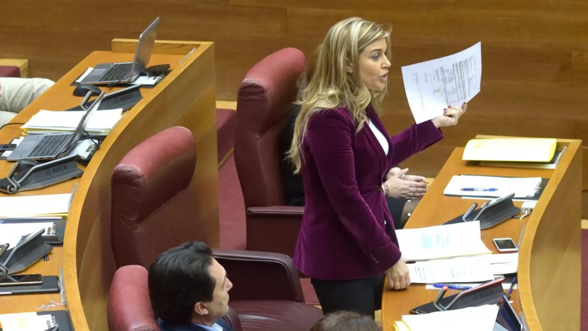 La diputada Ortiz, a la que Nomdedéu se refirió como «un chimpancé con una ballesta» anunció que el PP llevará a la Fiscalía nuevas facturas