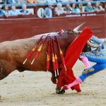 Imagen de Rafaelillo al ser enganchado de la taleguilla por el primer toro / Cipriano Pastrano