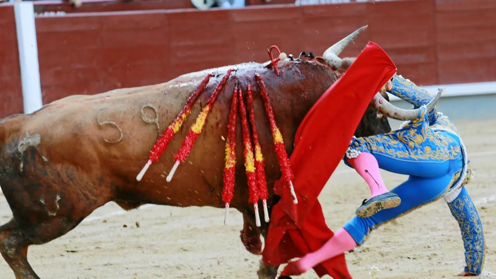 Imagen de Rafaelillo al ser enganchado de la taleguilla por el primer toro / Cipriano Pastrano