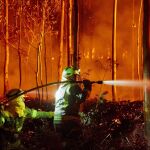 Hasta abril se produjeron 1.928 incendios/ Efe