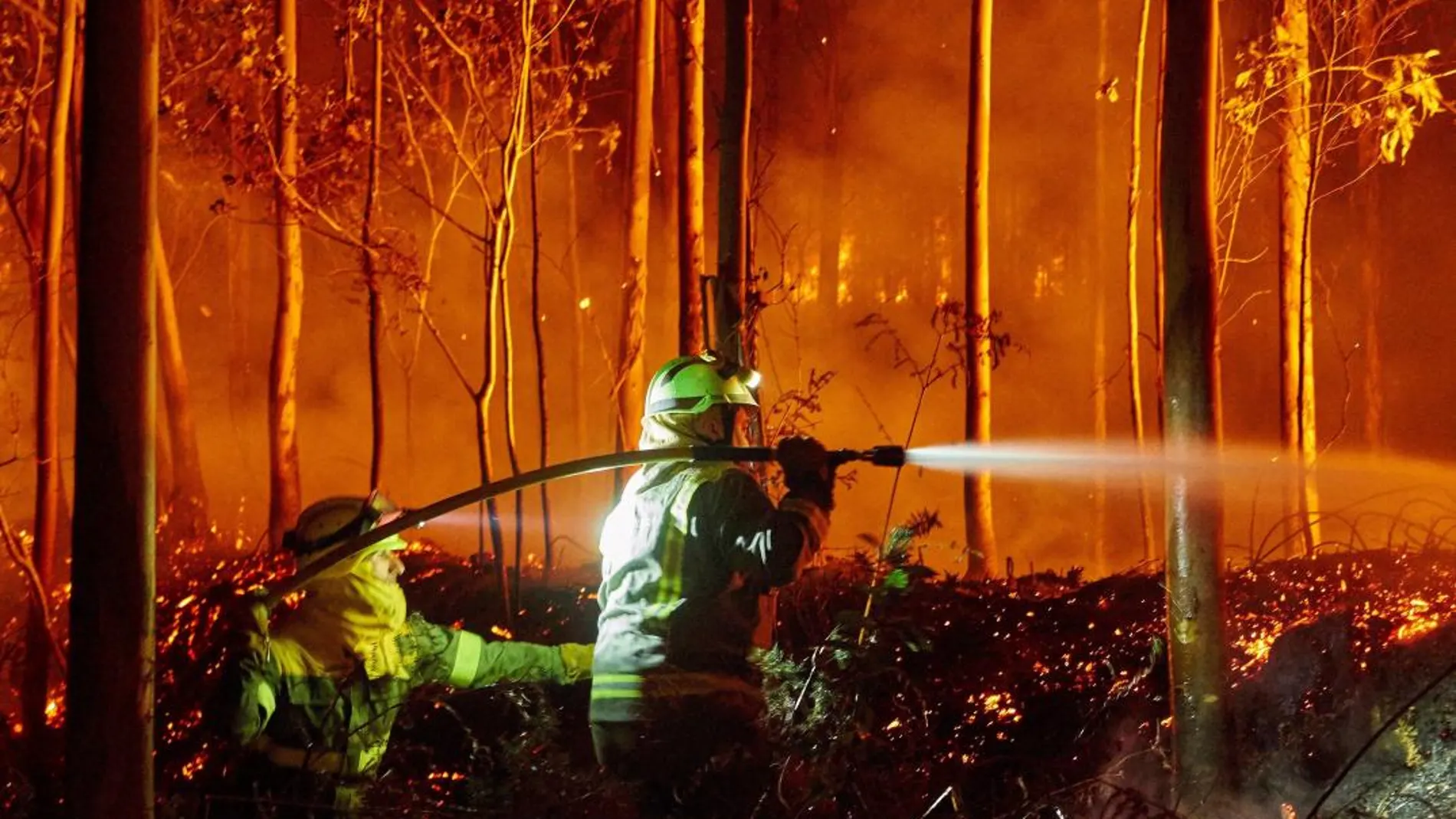 Hasta abril se produjeron 1.928 incendios/ Efe