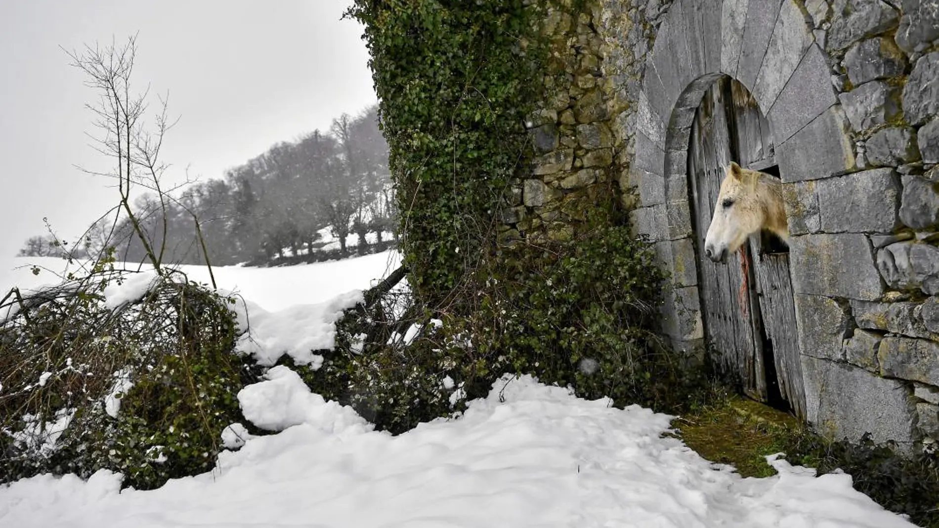 En la localidad navarra de Aldatz, a 60 kilómetros de Pamplona, la nieve cubrió carreteras y campiñas y la vida se paralizó