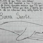 Normas de «La Ballena azul»