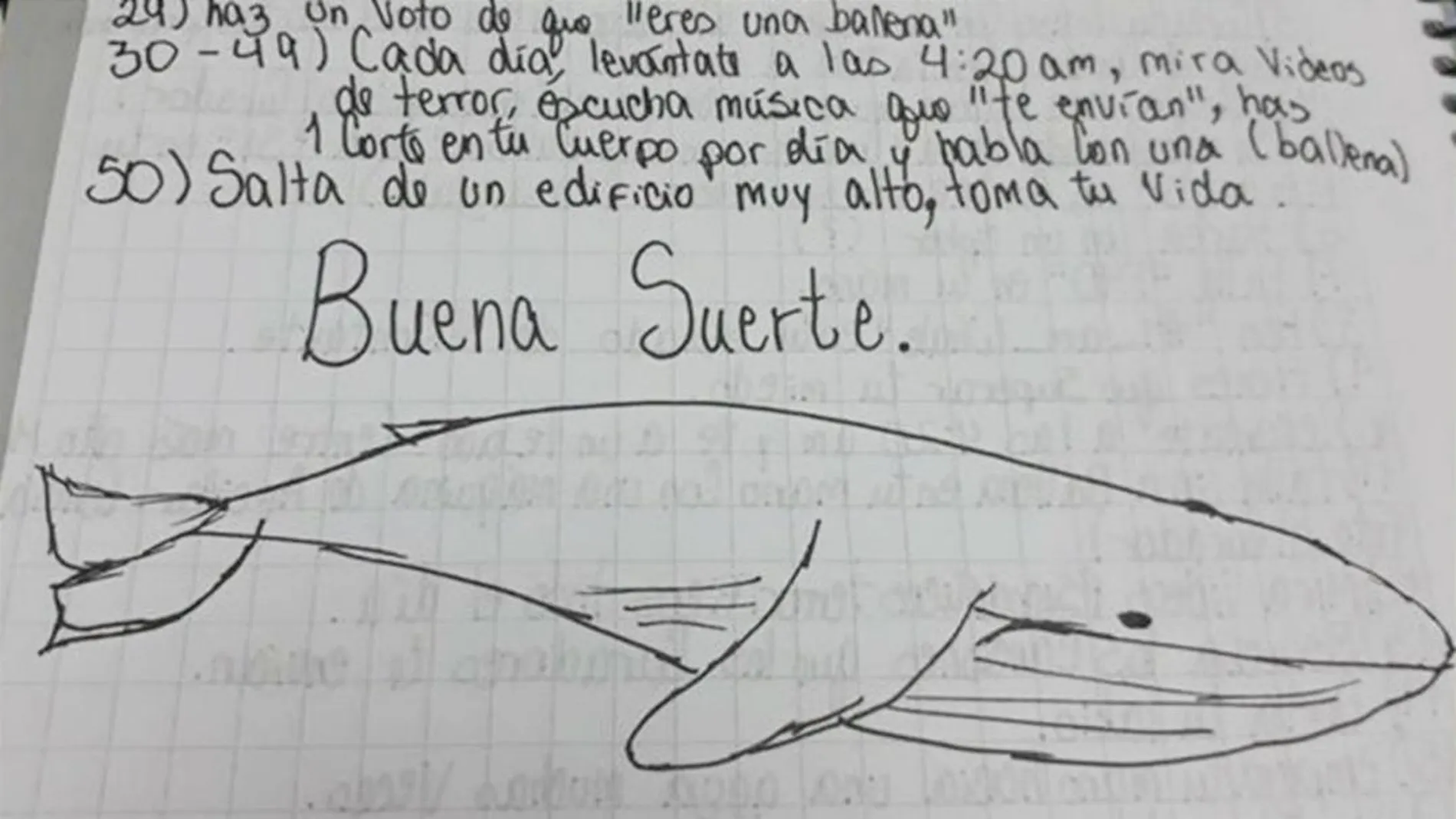 Normas de «La Ballena azul»