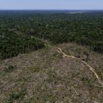 El imparable avance de la tala de árboles en la selva amazónica, en una imagen tomada el pasado mes de julio