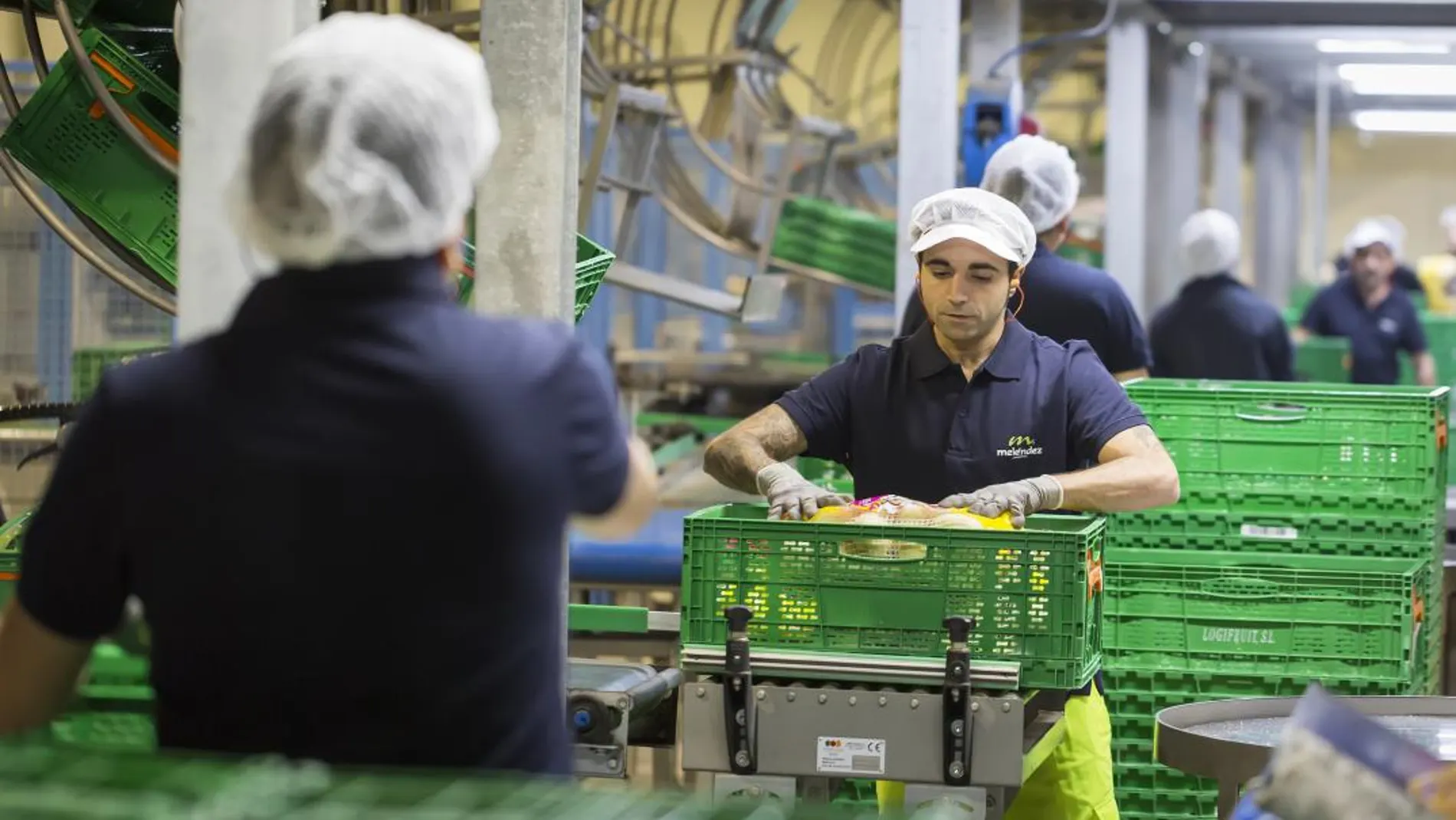 Trabajadores de la empresa vallisoletana Patatas Meléndez