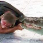 Imagen del dramático momento