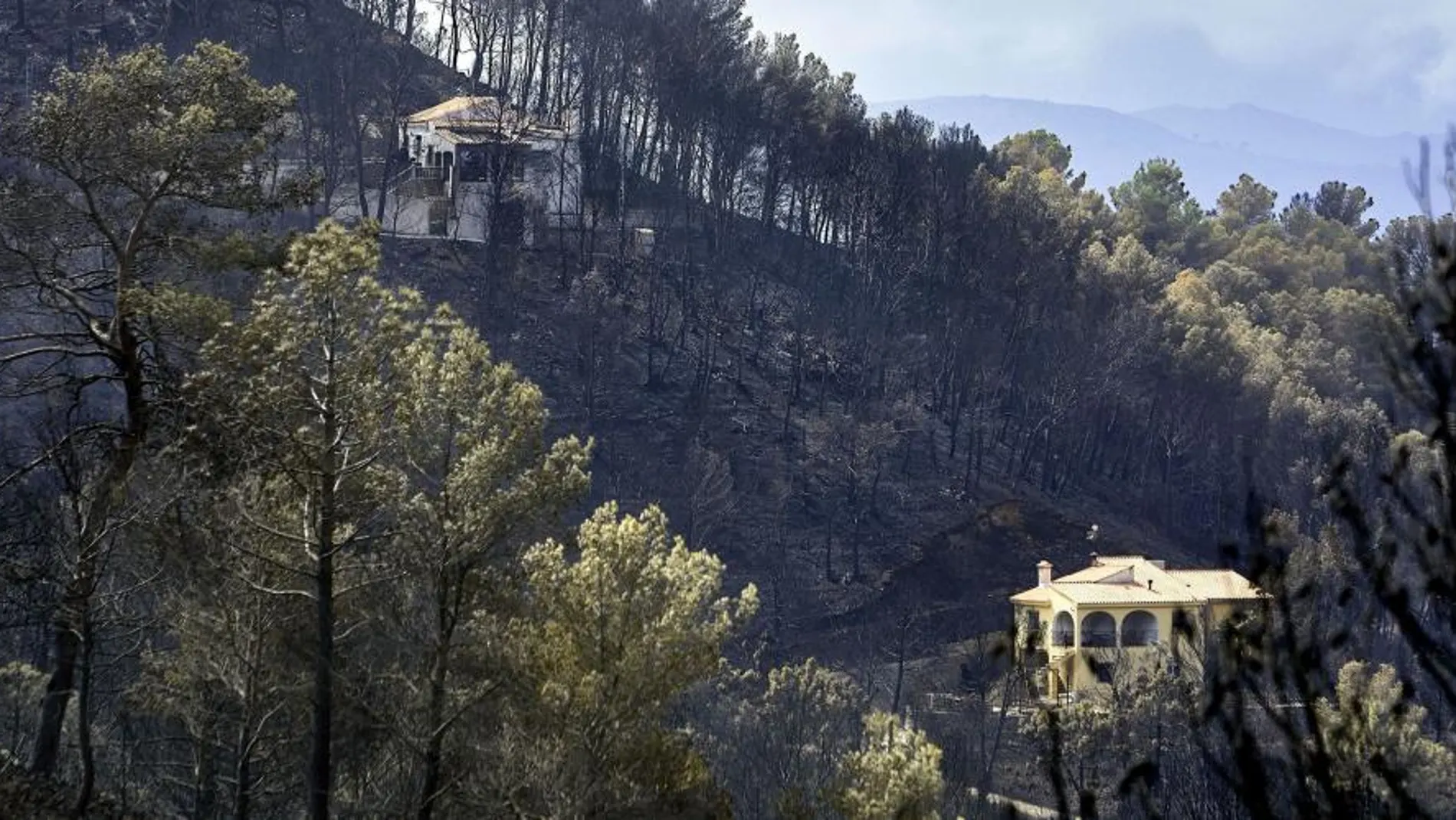 Viviendas de la urbanización Las Cumbres afectadas por el incendio forestal de Llutxent. El fuego se encuentra ya controlado/Efe
