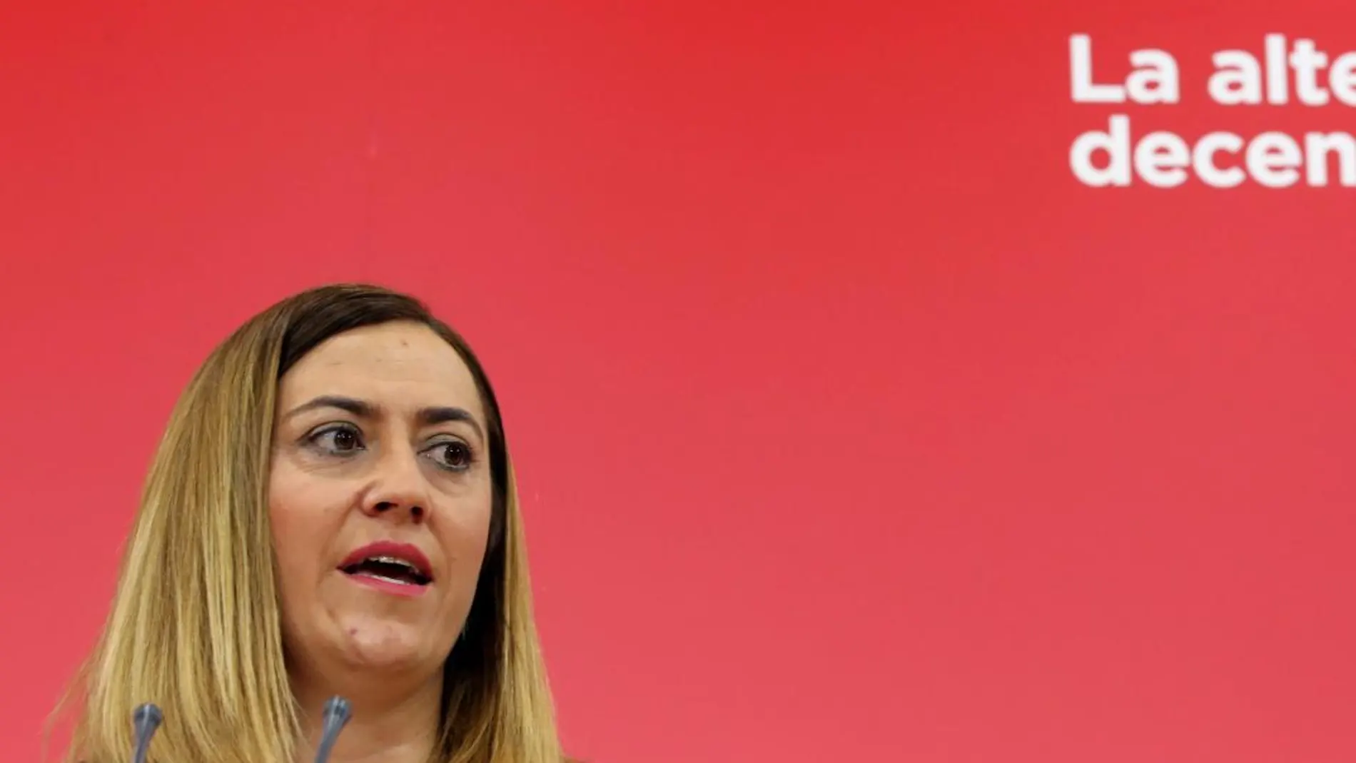 Virginia Barcones, vicesecretaria general del PSOE de Castilla y León, atiende a la prensa