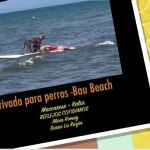 Playa para perros, un lujo para ellos y para sus dueños