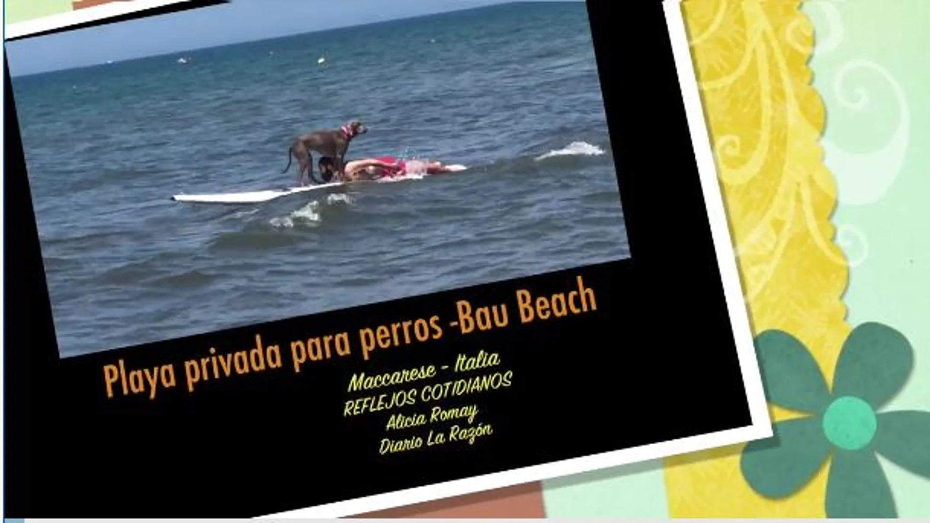 Playa para perros, un lujo para ellos y para sus dueños