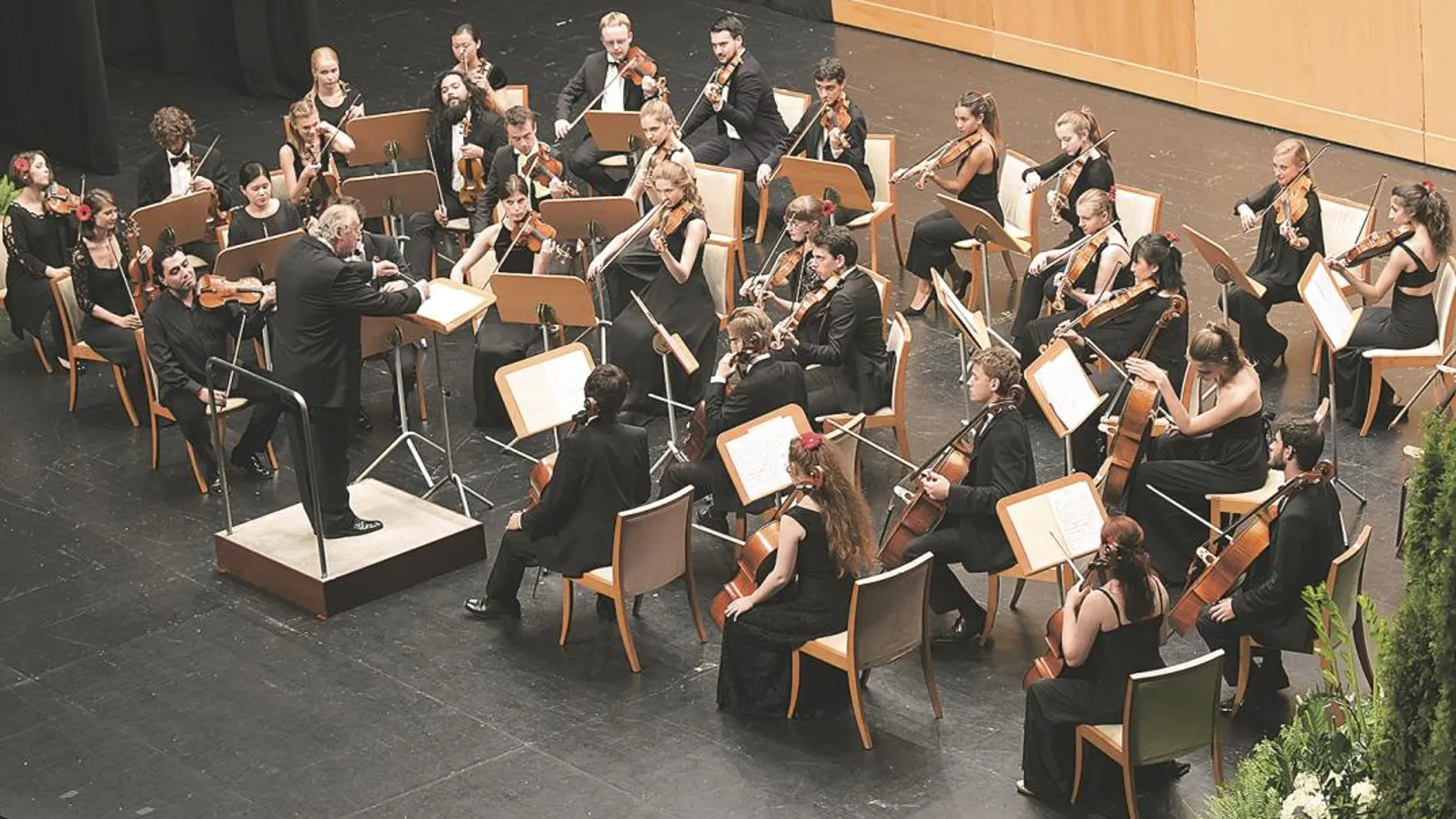 Viesgo colabora con diversas fundaciones e instituciones para la promoción de la música y la formación de jóvenes maestros