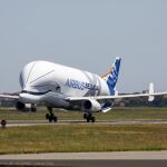 Nuevo Airbus Beluga XL en su primer vuelo.