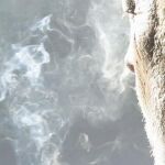 El tabaquismo afecta más a los hombres que a las mujeres / Efe