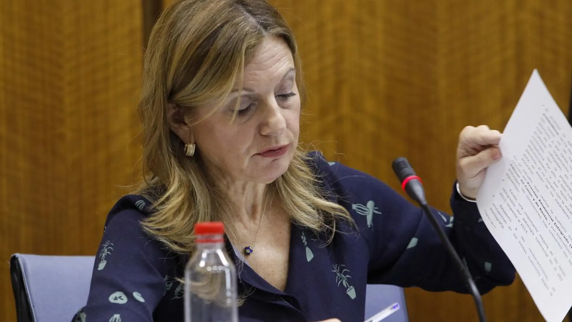 La actual titular de la Consejería de Salud de la Junta es Marina Álvarez