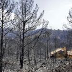 Vista de una de las viviendas afectadas por el incendio forestal de Llutxent en la zona de la Marxuqera (Gandía). EFE/Natxo Francés