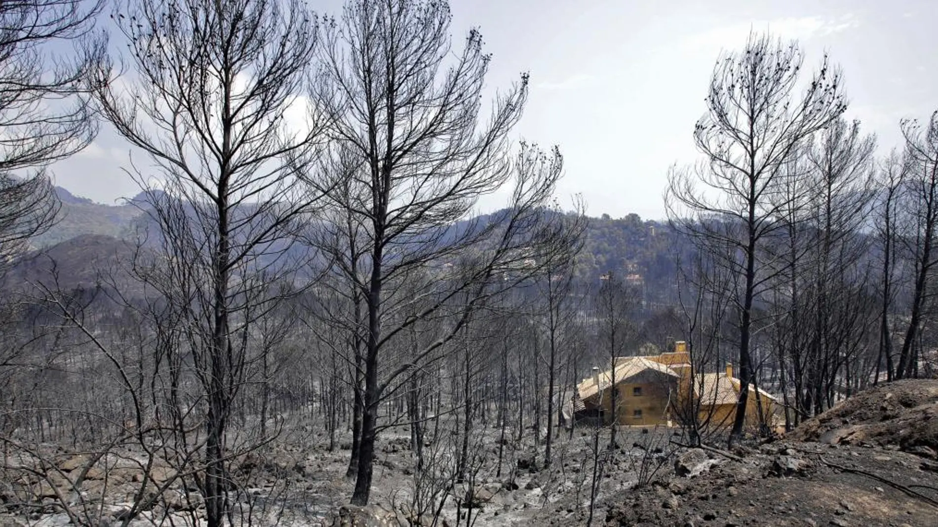 Vista de una de las viviendas afectadas por el incendio forestal de Llutxent en la zona de la Marxuqera (Gandía). EFE/Natxo Francés