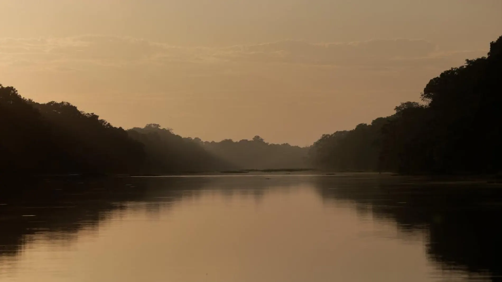 El río Amazonas, en un tramo a su paso por Brasil