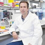 En la imagen, el investigador Joan Seoane, que ha liderado este estudio pionero en todo el mundo, para abrir una vía menos invasiva para monitorizar los gliomas en el cerebro
