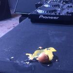 Así quedó el escenario tras lanzar huevos