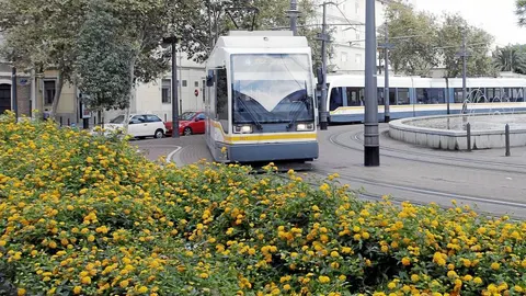 FGV ha sido preseleccionada para construir dos líneas de tranvía en Bogotá