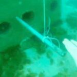 Imagen submarina en la que se ve uno de los bloques en el fondo de la bahía de Algeciras con los pinchos que destrozan las redes de los pescadores