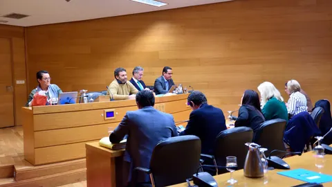 Les Corts celebraron ayer una sesión de la comisión de financiación ilegal PSPV