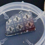Varios prototipos del transistor sináptico pueden verse en este chip de silicio. Imagen: Eliza Grinnell.