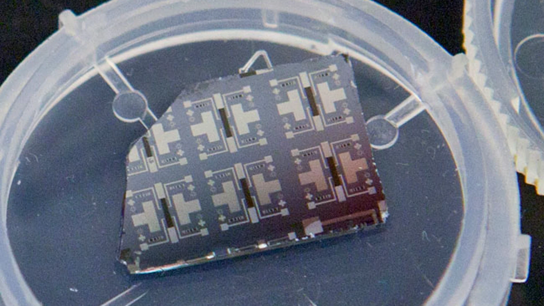 Varios prototipos del transistor sináptico pueden verse en este chip de silicio. Imagen: Eliza Grinnell.