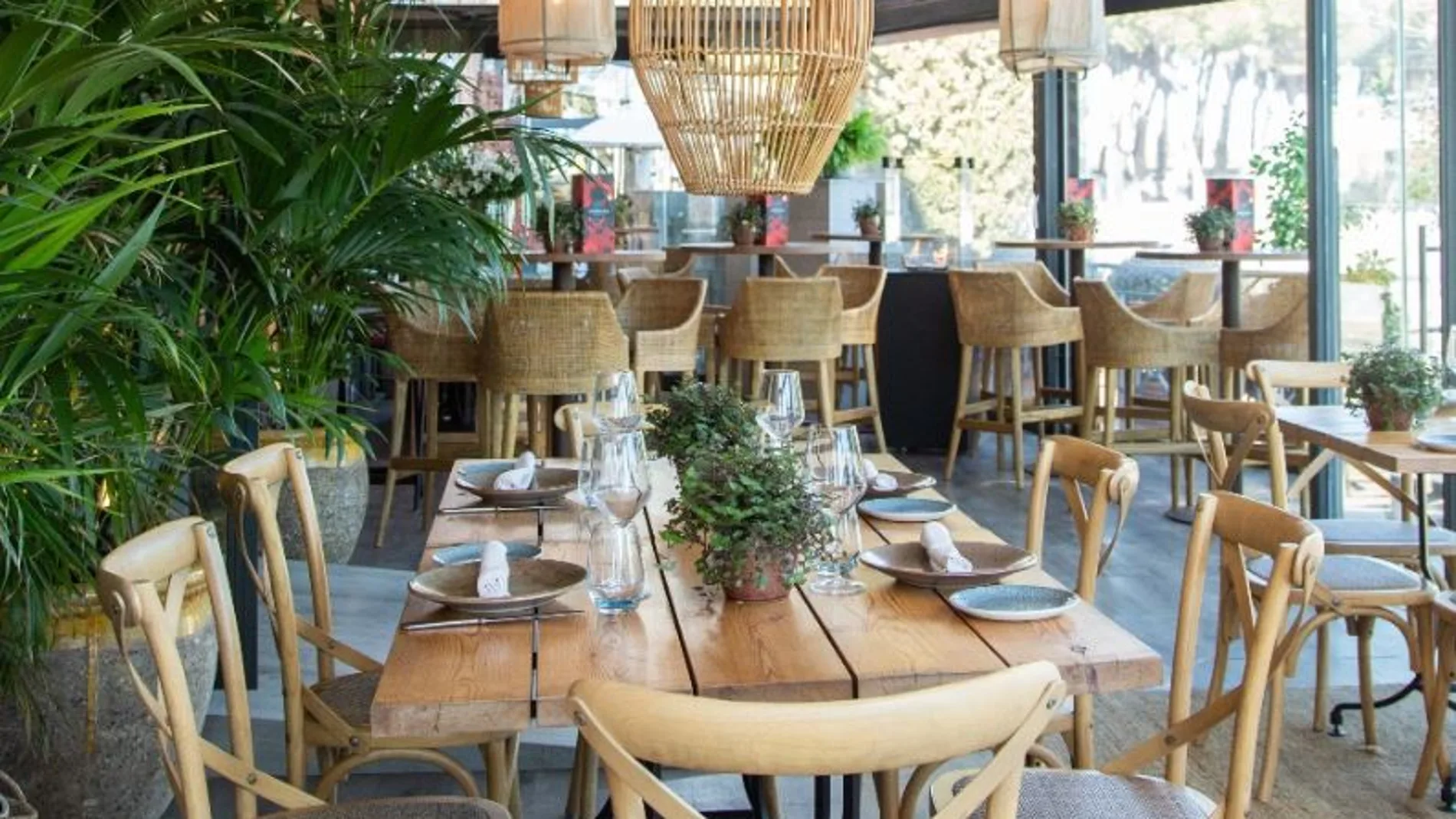 (A) Brasa, en La Moraleja tiene una terraza luminosa y acogedora | Brandelicious