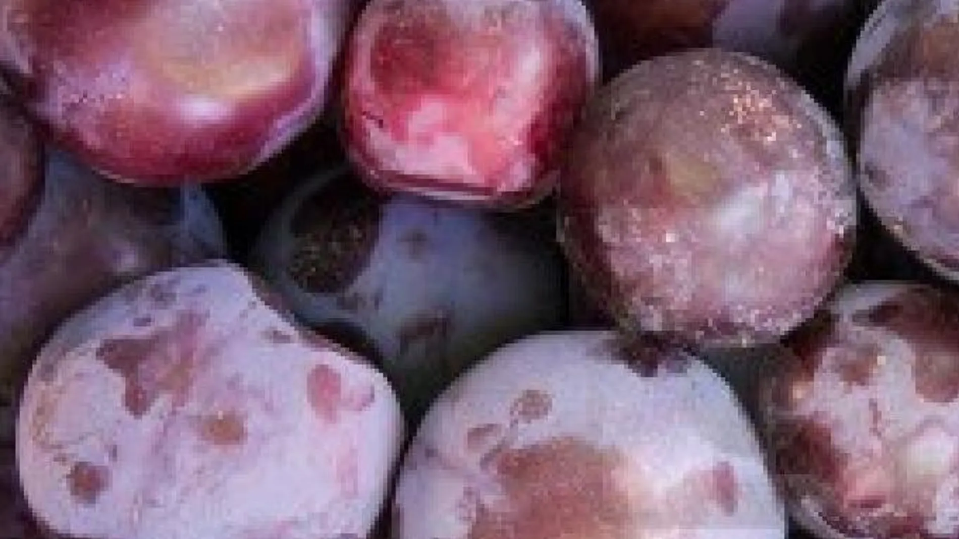 Las ciruelas de California mejoran la salud digestiva