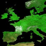 Así es el primer mapa global de la vegetación en el mundo