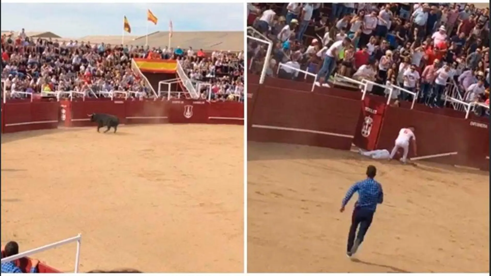 Un toro mató a un hombre en la plaza de toros de Benavente / YouTube