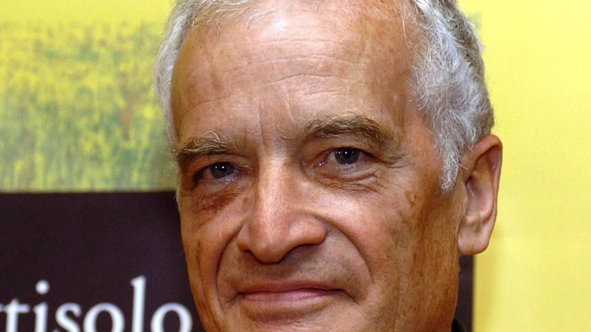 El escritor Luis Goytisolo