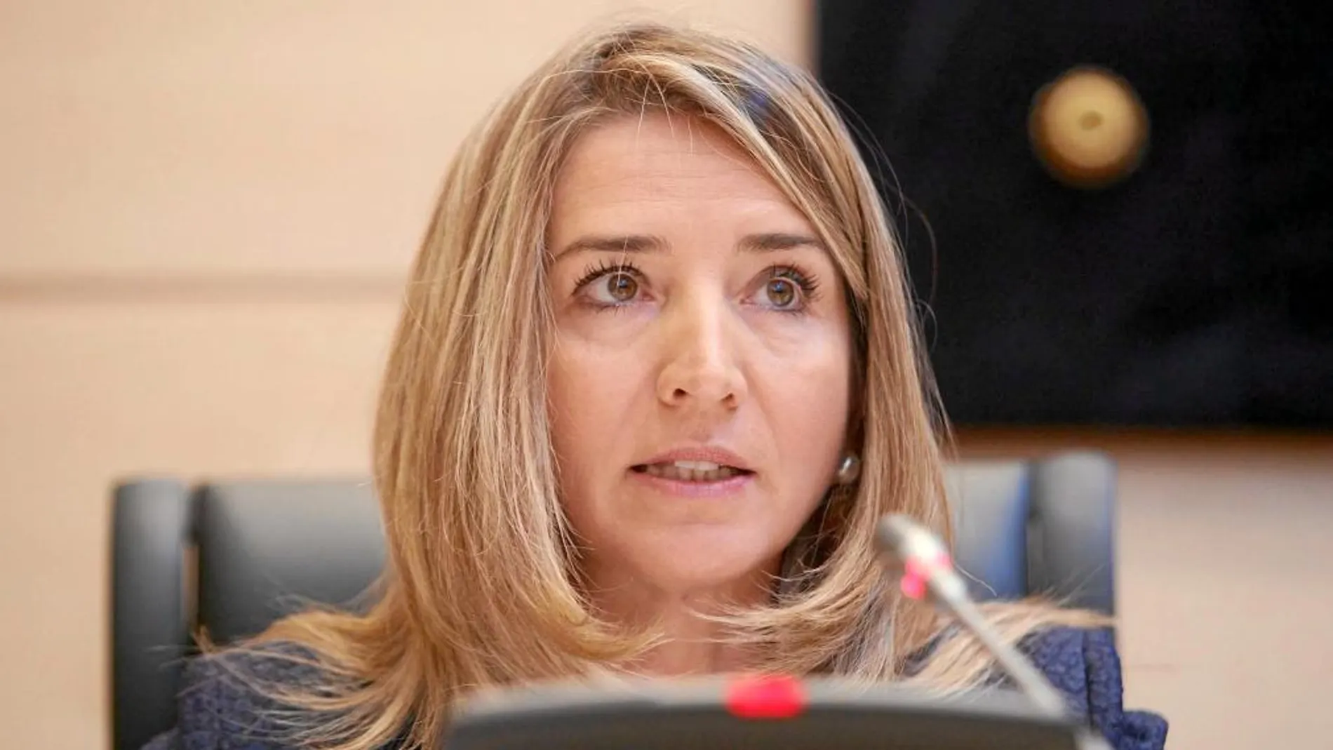 La consejera de Cultura y Turismo, Alicia García, salió satisfecha de la reunión de ayer en Madrid