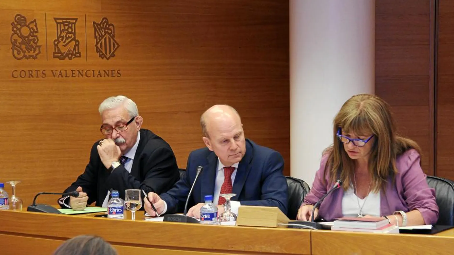 El conseller Buch, ayer, en la Comisión de Economía de Les Corts Valencianes