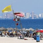 La bandera amarilla ondeaba en la playa de La Malvarrosa el domingo tras el avistamiento de un pez raya