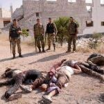 Combatientes leales a Asad posan frente a los cadáveres de miembros del Ejército Libre Sirio, ayer, en Alepo