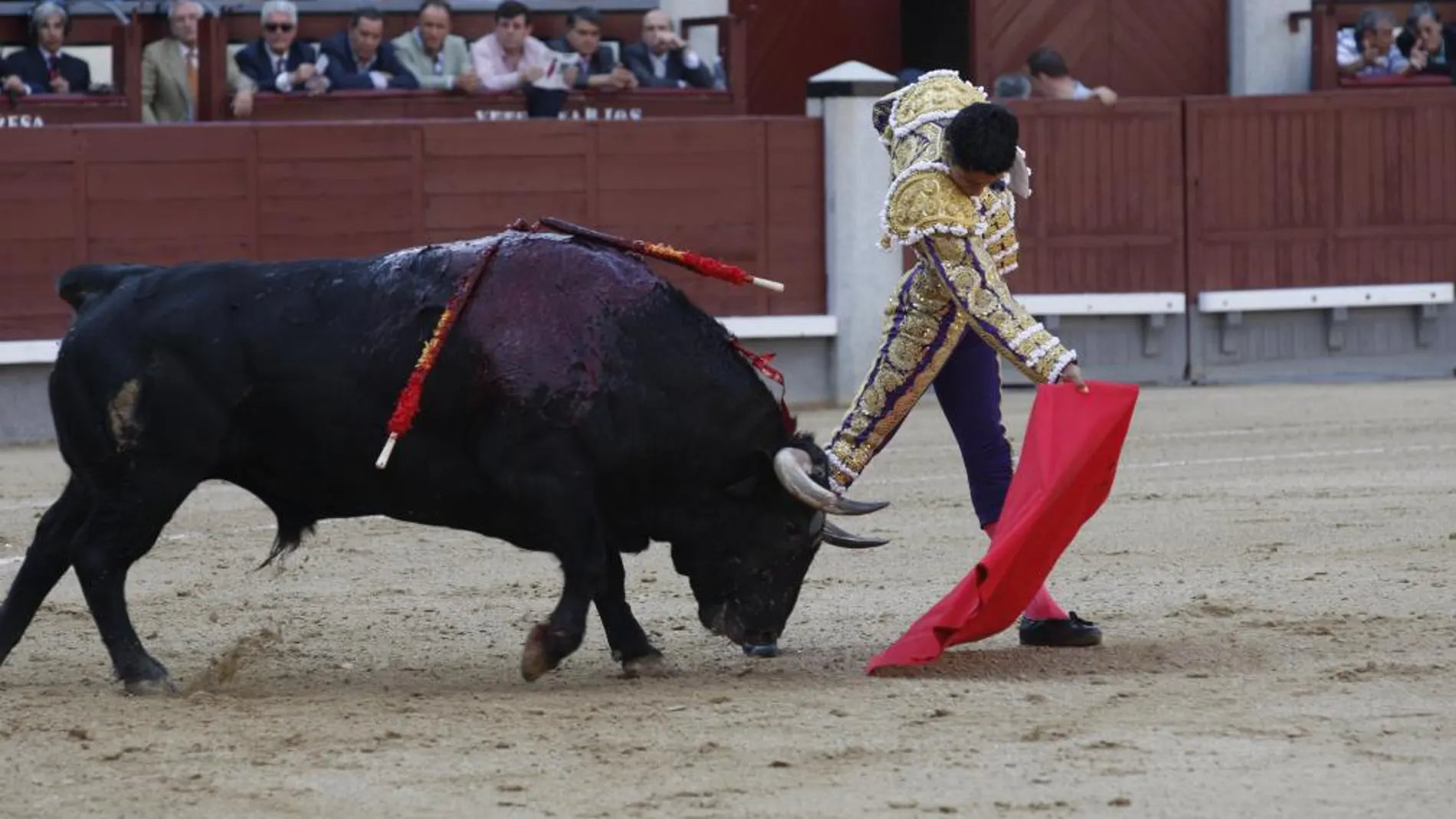 Sergio Flores dejó trazos lucidos en su labor de confirmación de alternativa
