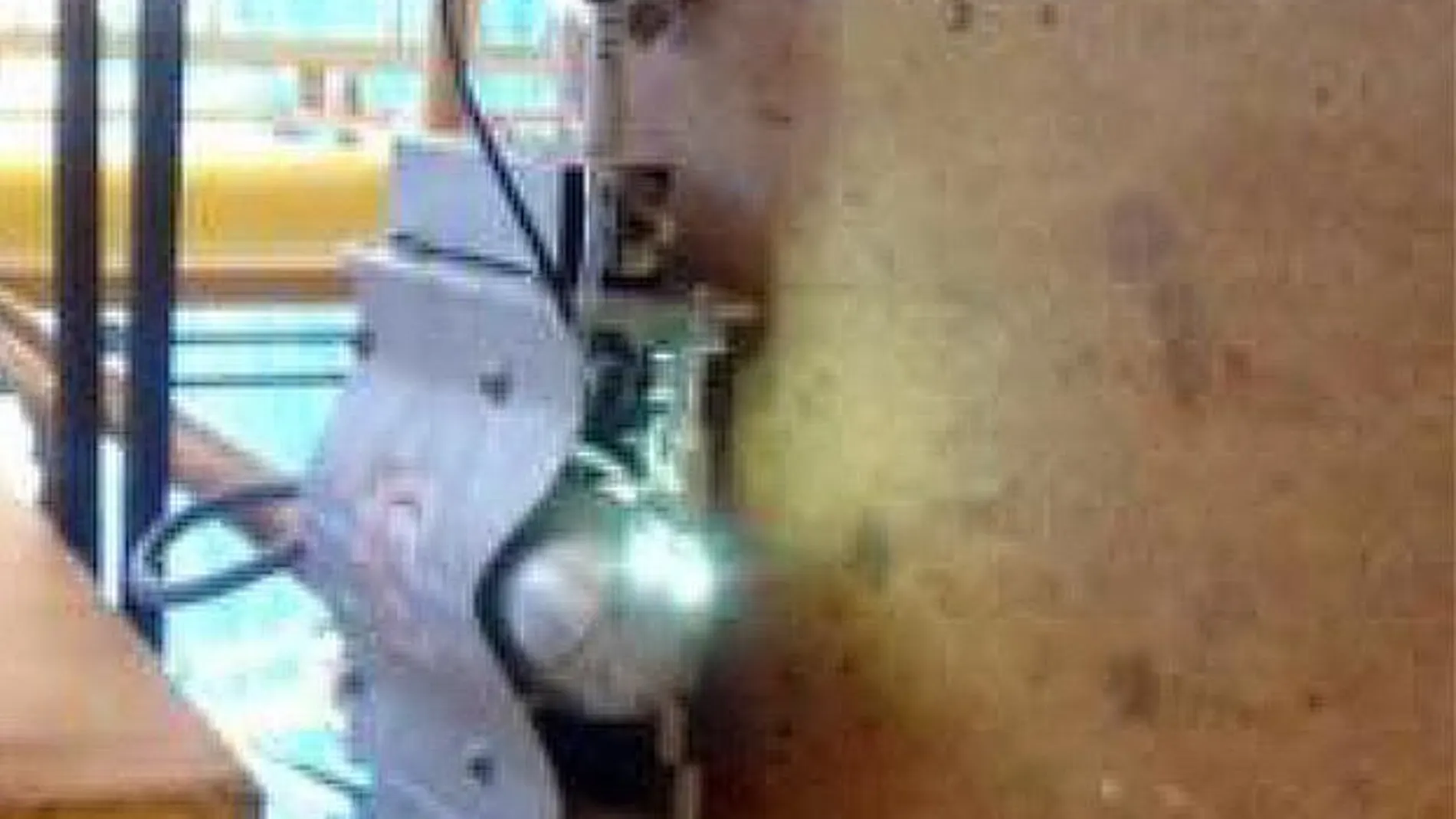 RoboPipe, en plena tarea