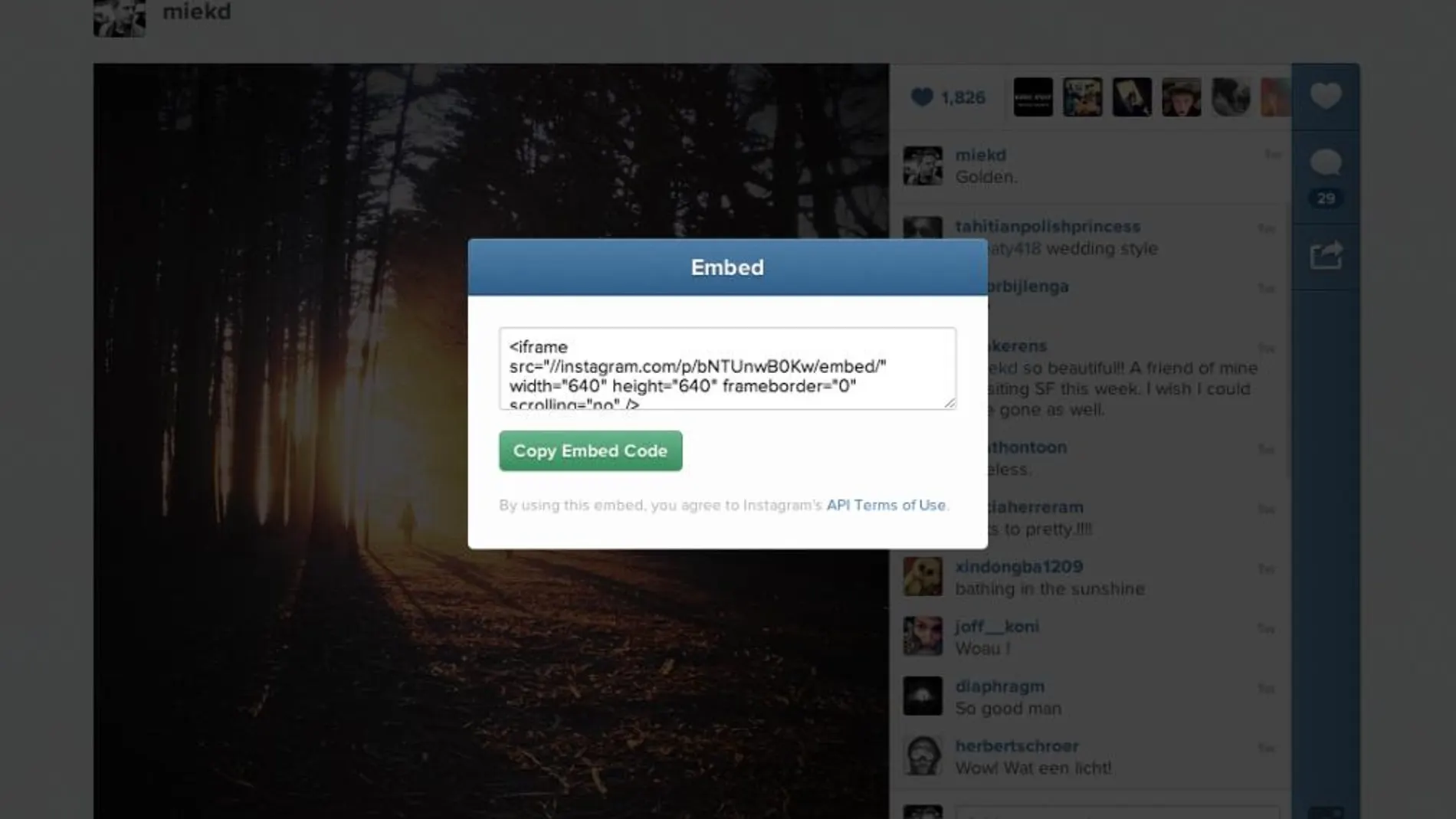 Instagram ya permite embeber sus vídeos en la web