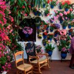 Varias personas visitan un patio de la calle Tinte de Córdoba, con sus coloristas macetas con flores / Foto: Efe